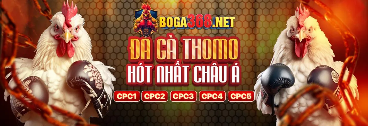 Các tính năng của nền tảng đá gà trực tiếp đáng tin cậy