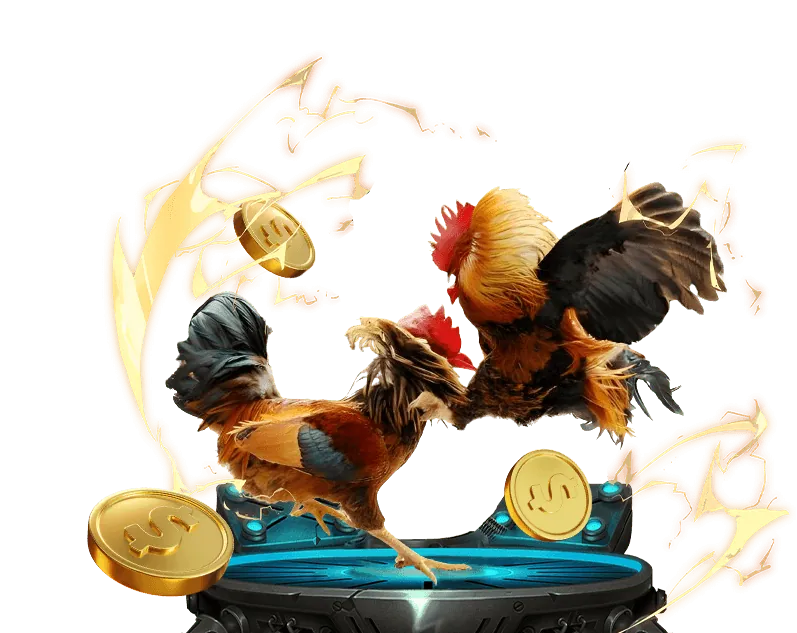 Xem trực tiếp đá gà